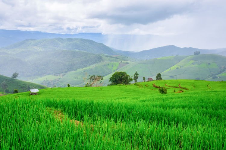 pemandangan di luar jendela kereta