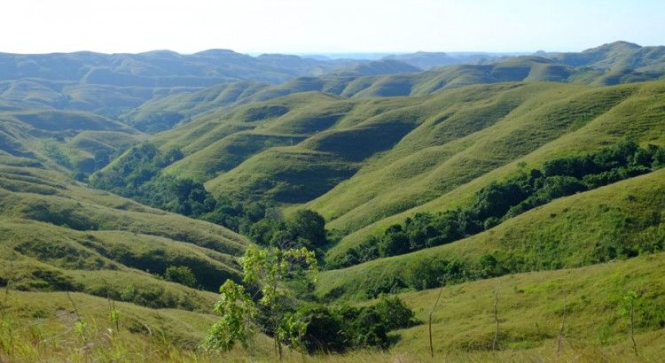 Bukit warinding