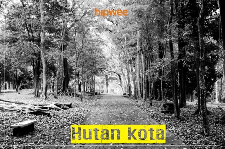 Hutan kota