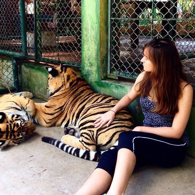 harimau aja berani dia sayang <3