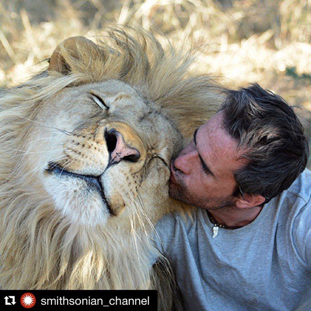 Parade Foto ‘Zookeeper’ dan Binatangnya Ini Lucu Banget Deh. Bikin Kamu Gemes Sendiri