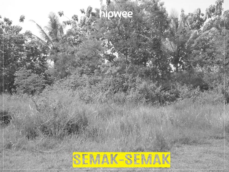 Semak-semak