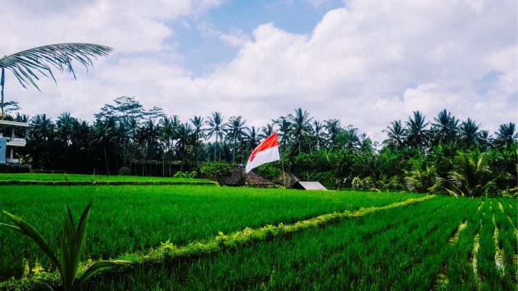 Terima Kasih Semesta, Kehidupan Ini Luar Biasa Istimewa