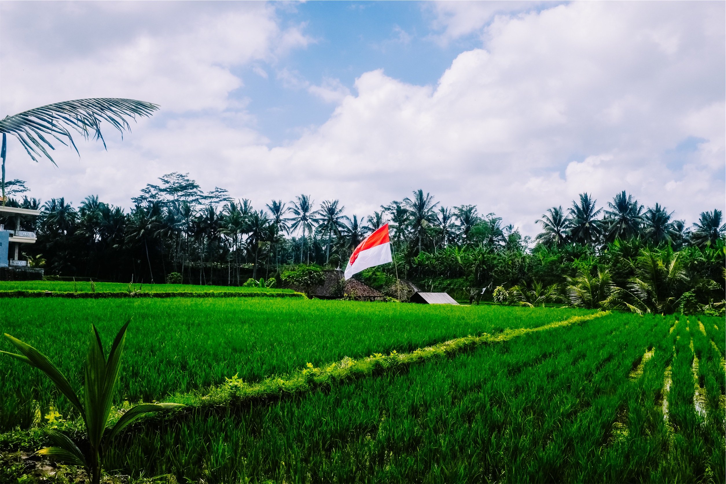 Terima Kasih Semesta, Kehidupan Ini Luar Biasa Istimewa