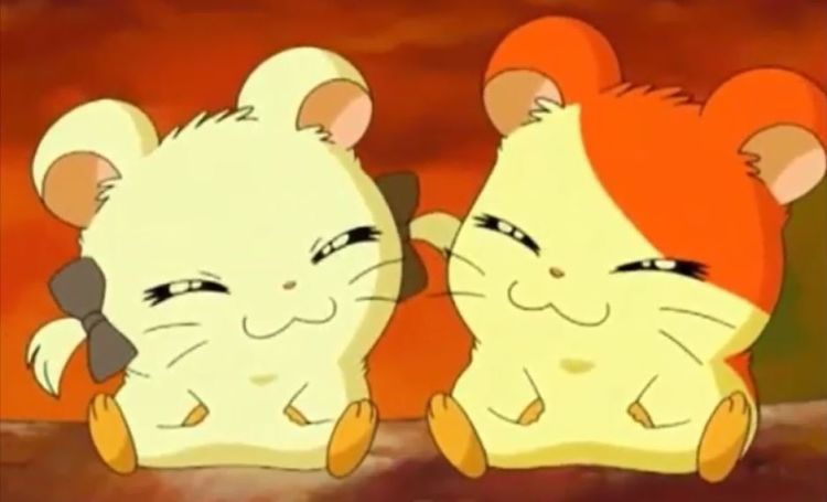 hamtaro