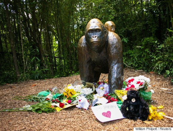 Patung Harambe. (REUTERS/William Philpott)