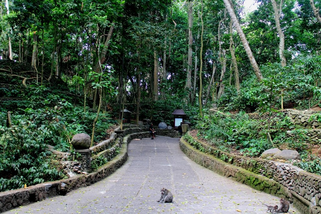 Cuma Punya Satu Hari Di Ubud? Kamu Masih Bisa Mampir di Tempat-Tempat Keren Ini!