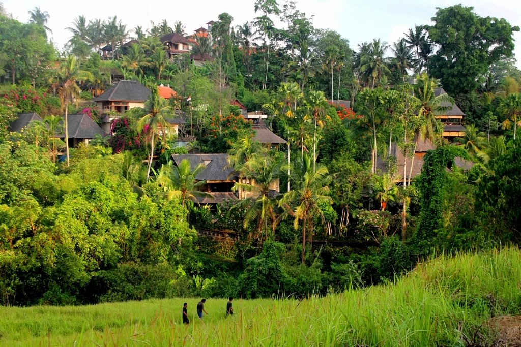 Cuma Punya Satu Hari Di Ubud? Kamu Masih Bisa Mampir di Tempat-Tempat Keren Ini!