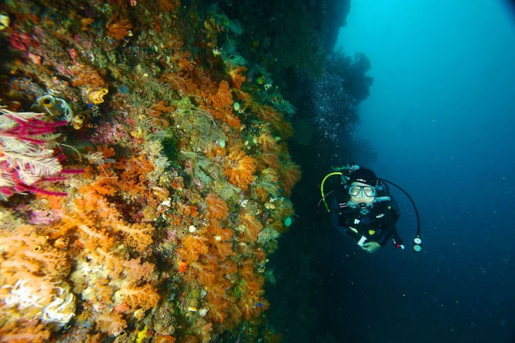 Snorkeling asique~