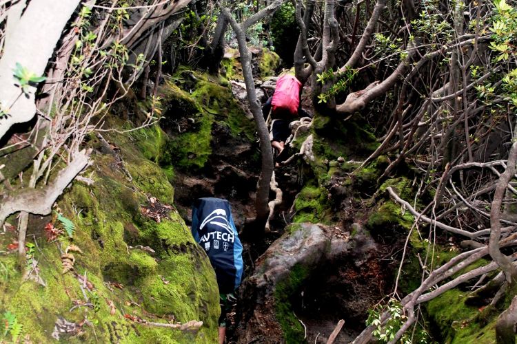 Trek resmi Gunung Kerinci.