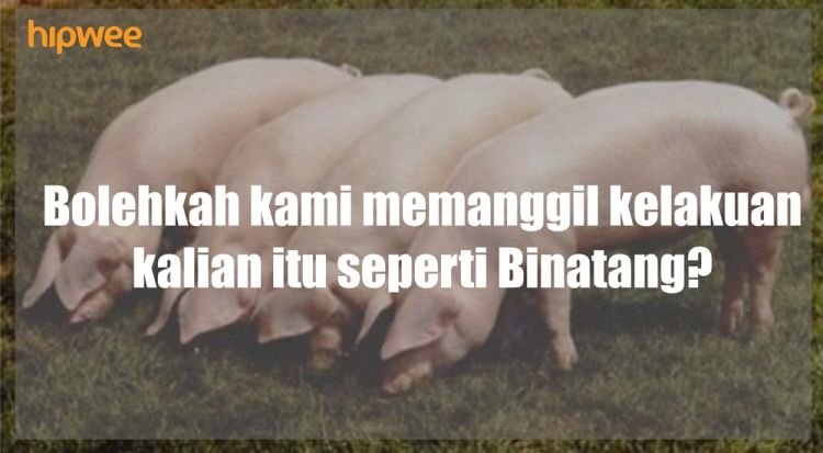 Seperti binatang