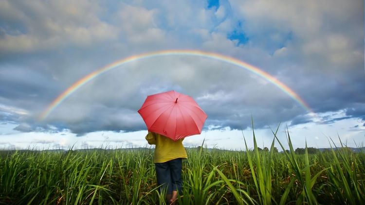 Untukmu Yang Melukis Luka, Aku Mampu Melukis Pelangi Tanpamu