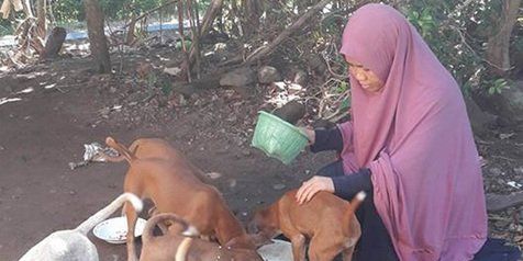 Duh, ngasih makan anjing eh yang hujat banyak