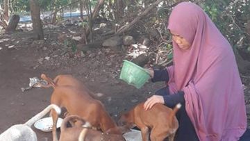 Apa Salah Desy Marlina? Perempuan Berhijab yang Menuai Kecaman Hanya Karena Memberi Makan Anjing.