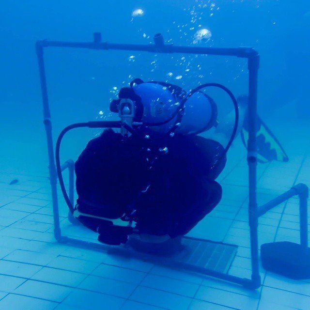 Latihan di kolam renang.