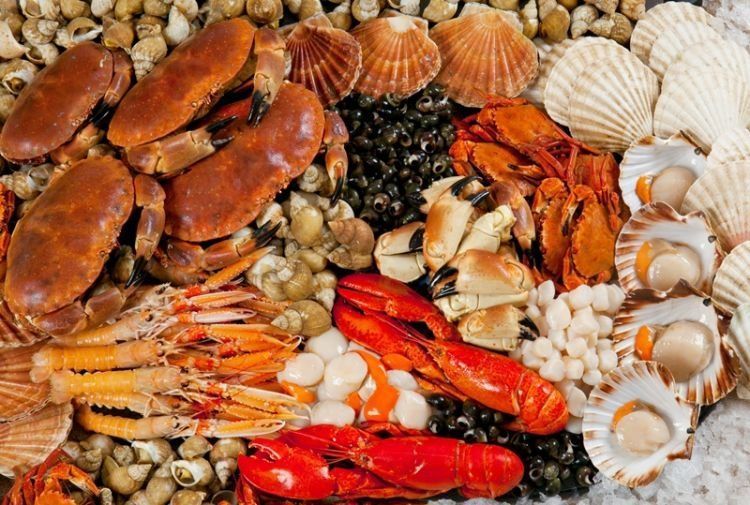 makanan laut punya kandungan mineral tinggi