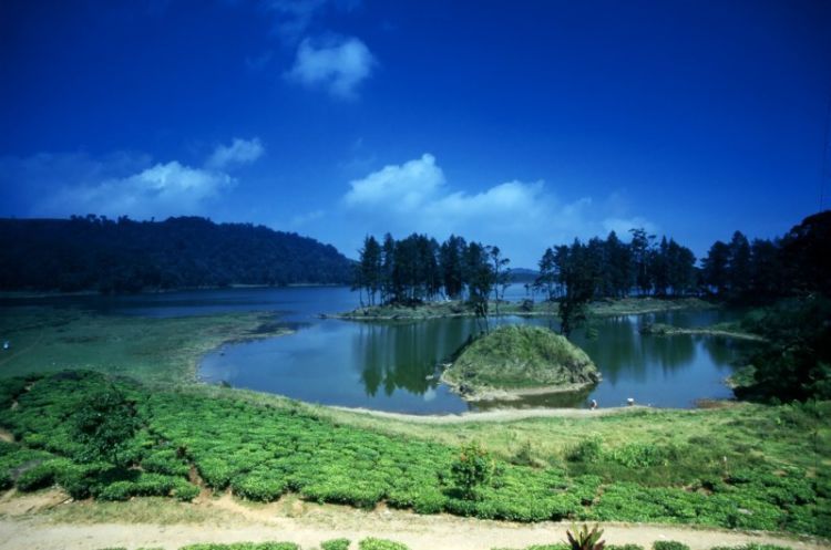 Ajak dia ke batu cinta di Situ Patenggang