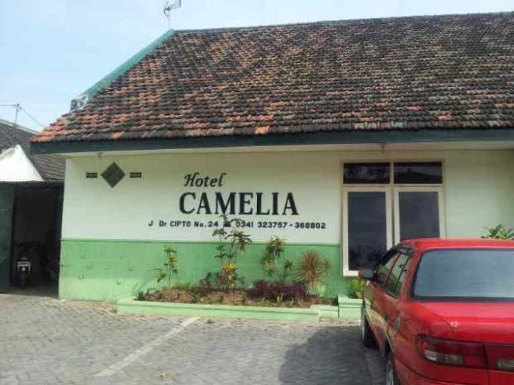 Inilah Hotel Camelia favorit para backpacker