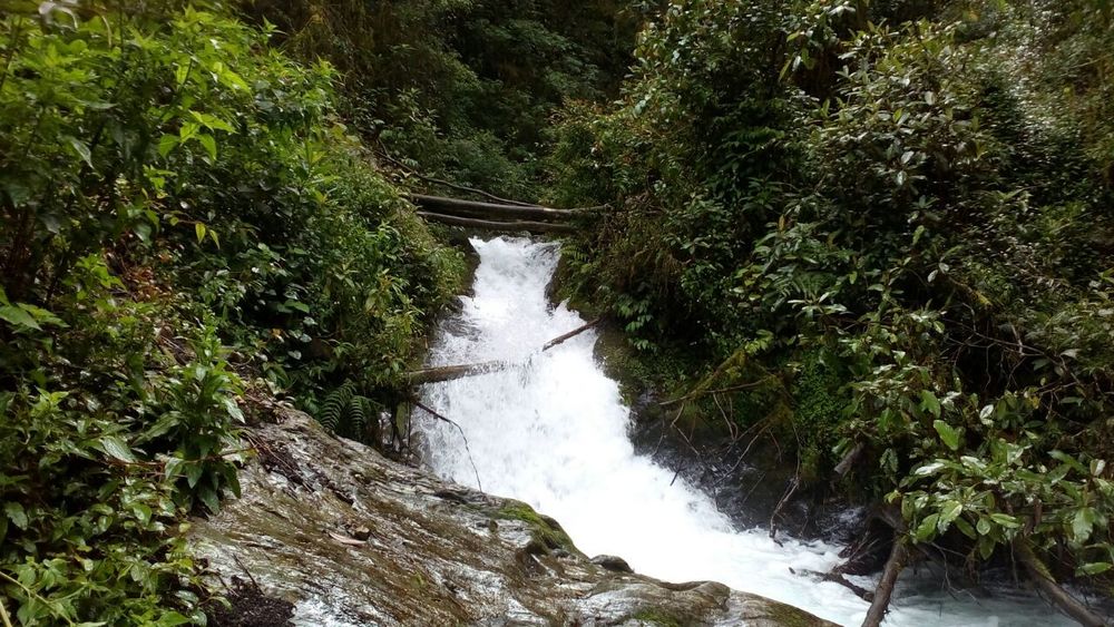 Sebuah Perjalanan Istimewa Menuju Atap Sulawesi