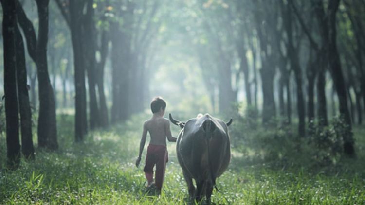 Kalau Pernah Melakukan 7 Hal Ini di Masa Kecil, Mungkin Kamu Memang Berbakat Jadi Traveler!