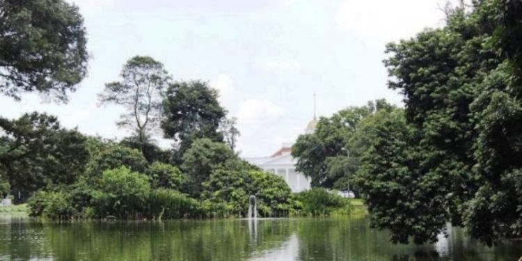 Penampakan ular raksasa sering muncul di Danau Gunting