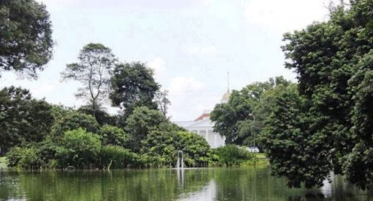 Selain Adem, Kebun Raya Bogor Juga Terkenal Angker. Inilah 5 Kisah Mistis di Kebun Raya Bogor!