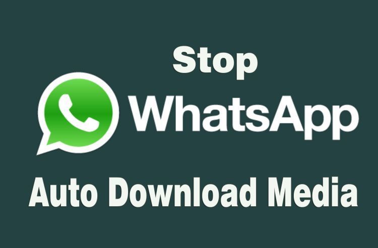 matikan auto download di whatsapp