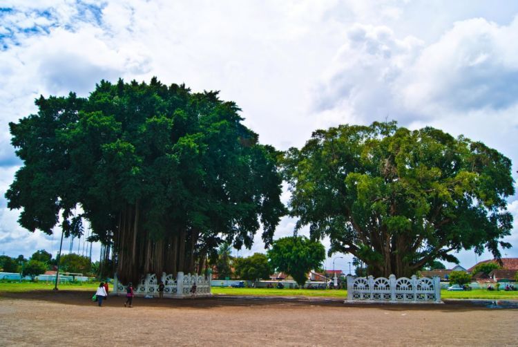 Bermimpilah setinggi langit sebelum menyebrangi alun-alun kidul