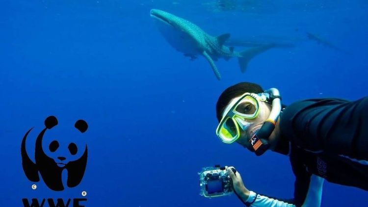 Buat Kamu yang Pengen Bisa Diving, Kamu Harus Dengerin Tips dari Penyelam WWF Indonesia Ini!