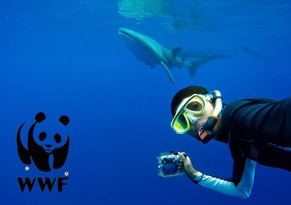 Buat Kamu yang Pengen Bisa Diving, Kamu Harus Dengerin Tips dari Penyelam WWF Indonesia Ini!