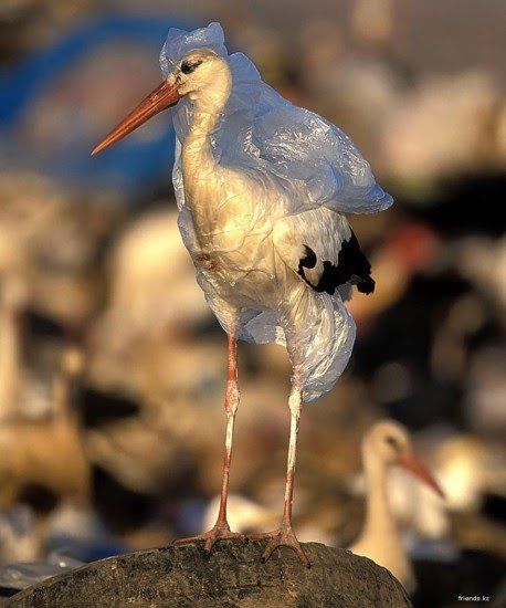 Sekitar 500 miliar karung plastik dipakai di seluruh dunia setiap tahun. Tiap jam dan menitnya ada berapa??