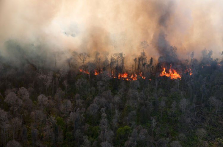 Kebakaran hutan menjadi penyebab munculnya asap.