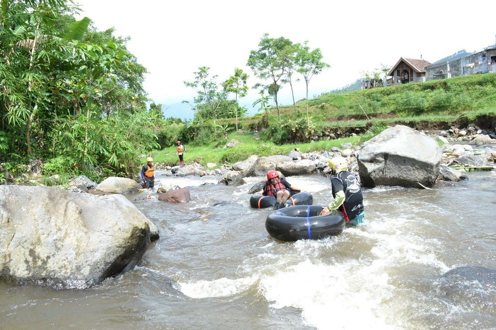 Yuk, Berkunjung ke Desa Sidomulyo! Desa Bunga yang Bikin Hatimu Berbunga-bunga