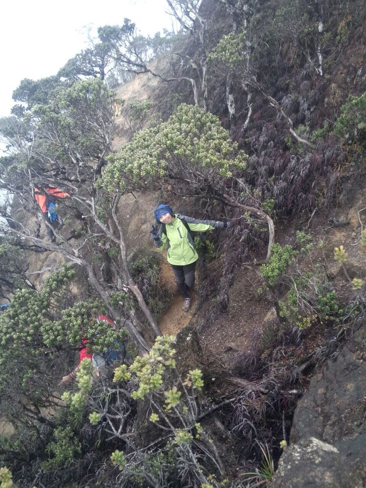 Wanita yang Suka Melangkahkan Kakinya ke Gunung Layak Dipertahankan Sekarang dan Juga Nanti