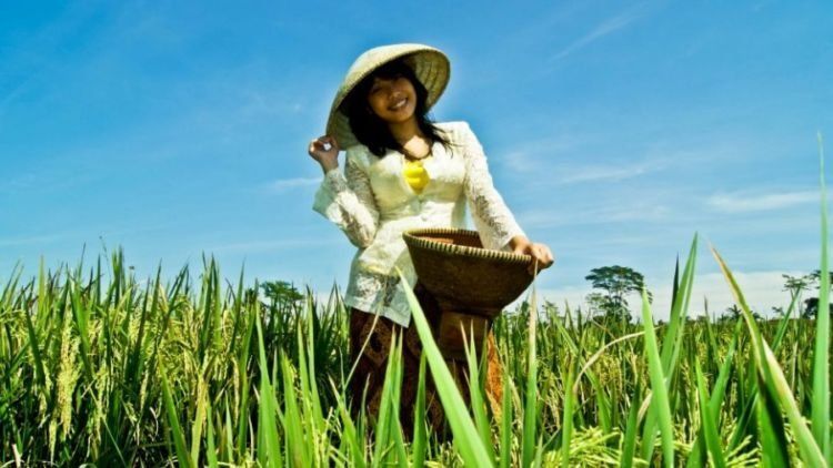 Jangan Malu Jadi Petani Muda Nasib Kemakmuran Bangsa Juga