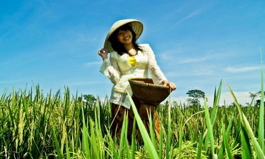 Jangan Malu Jadi Petani Muda, Nasib Kemakmuran Bangsa Juga Ditentukan Oleh Petani