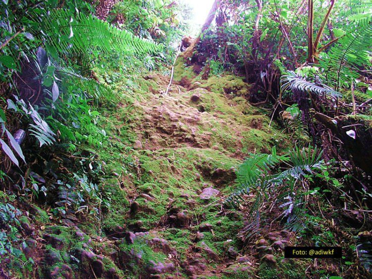 pendakian gunung salak