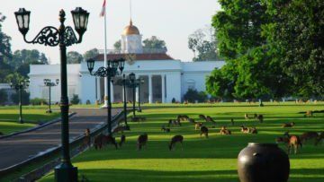 Kalahkan Paris, Bogor Raih Predikat Kota Paling Dicintai dalam Kampanye Global “We Love Cities” 2016!