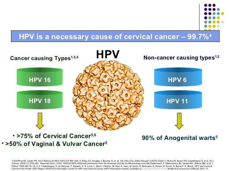 HPV tipe 16 dan 18 