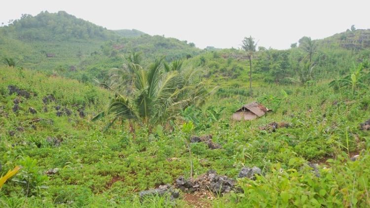 ladang penduduk di atas bukit via vhandojourney.blogspot.co.id