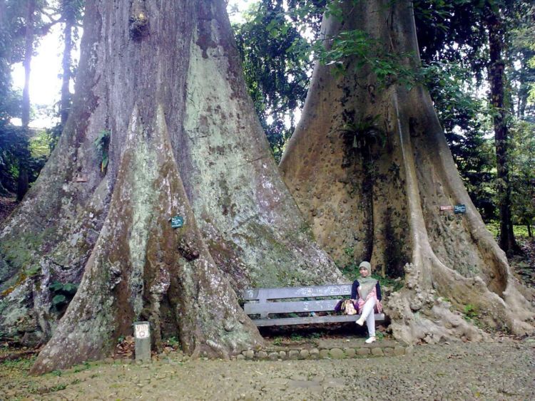 coba deh duduk sini dan nunggu ada yang ngajak kenalan gitu