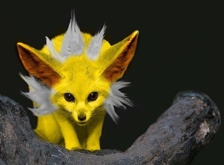 jolteon