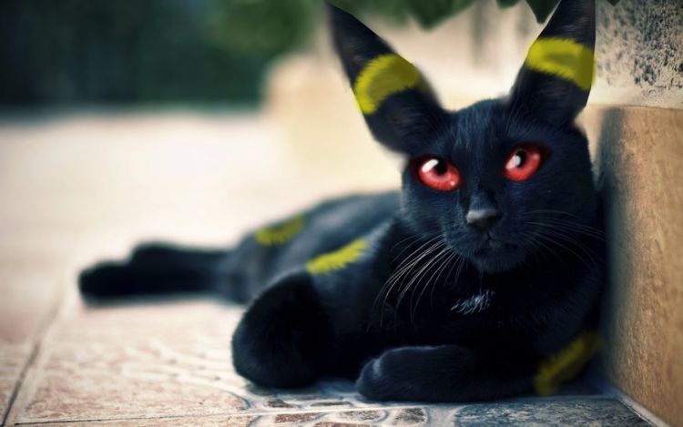 umbreon