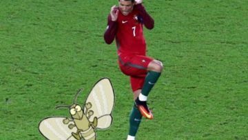 Inilah Galeri Meme Tangisan Ronaldo yang Malah Sukses Mengundang Gelar Juara (dan Hewan Misterius)