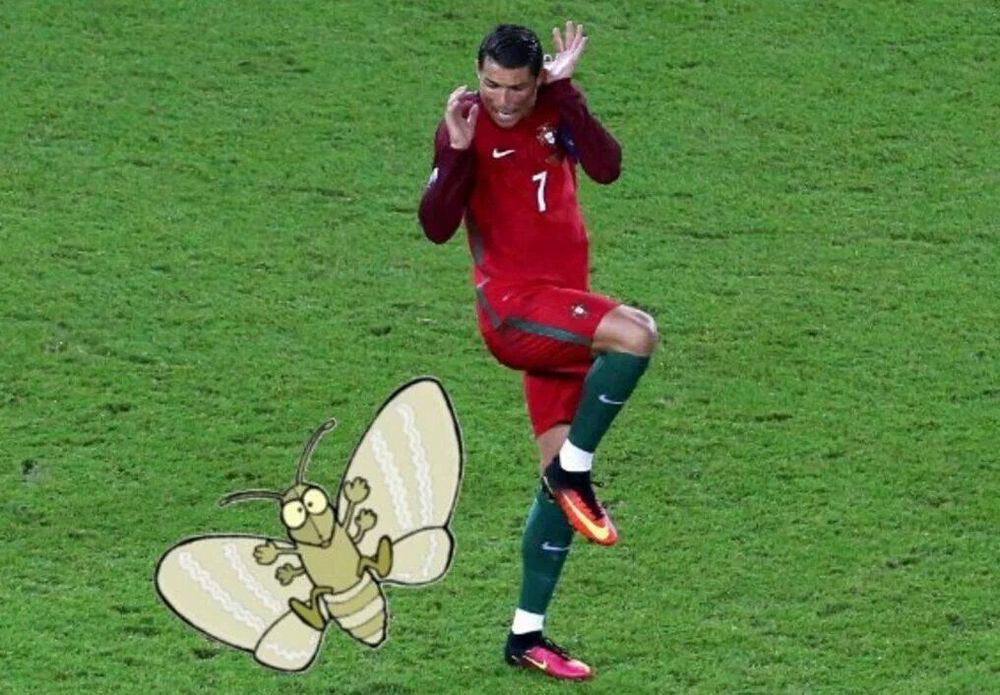 Inilah Galeri Meme Tangisan Ronaldo yang Malah Sukses Mengundang Gelar Juara (dan Hewan Misterius)