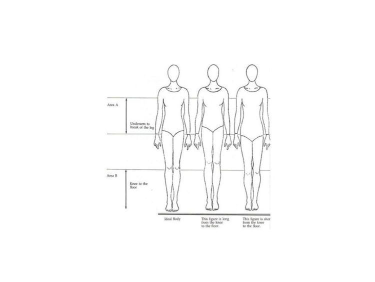 Proporsi normal, kaki panjang, dan kaki pendek.