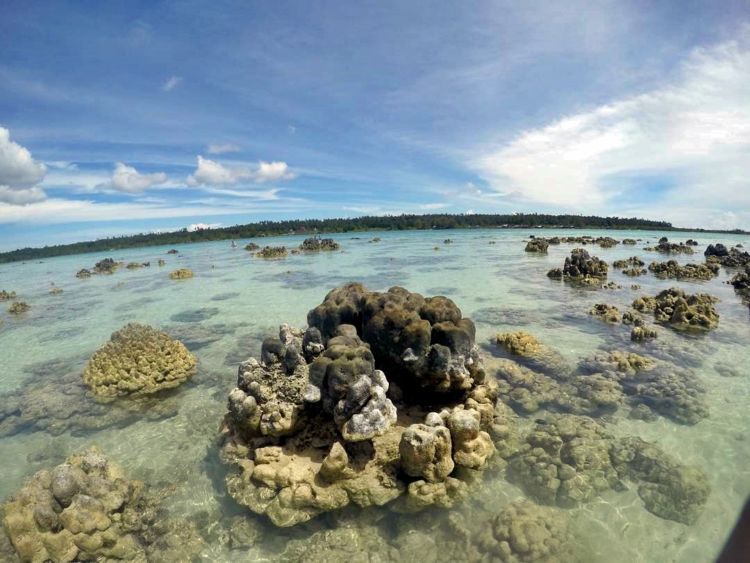 Hamparan gugusan karang di pantai Tureloto