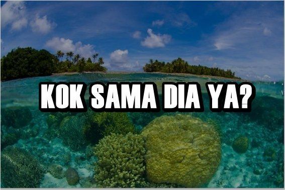 Yah sama dia deh