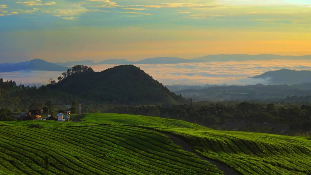 Destinasi Liburan di Daerah Bandung ini Cocok Banget buat Liburan Singkat!