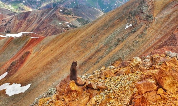 Ini Burma Lagi Berpetualang di Juan Mountains, Colorado